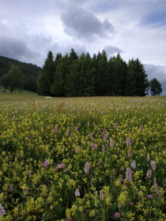 Apartament Les Chamois Lajoux Zewnętrze zdjęcie